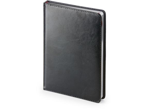 Ежедневник недатированный А6+ «Sidney Nebraska»