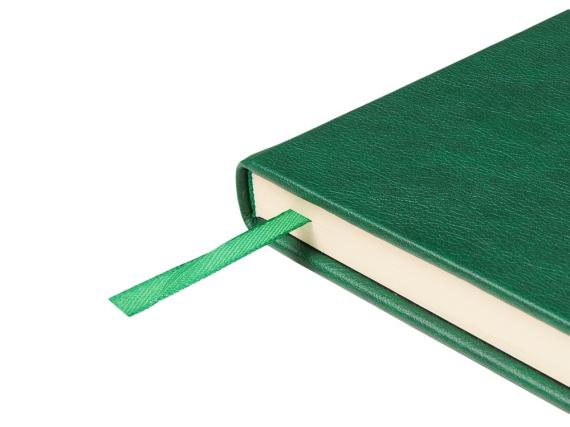 Ежедневник недатированный А5 «Premier»